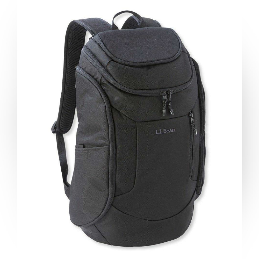 WTB llbean backpack daypack commuter pack
